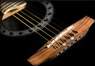 guitar_ic